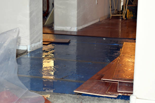 Professional Water Damage Repair technician working in Oakland, RI